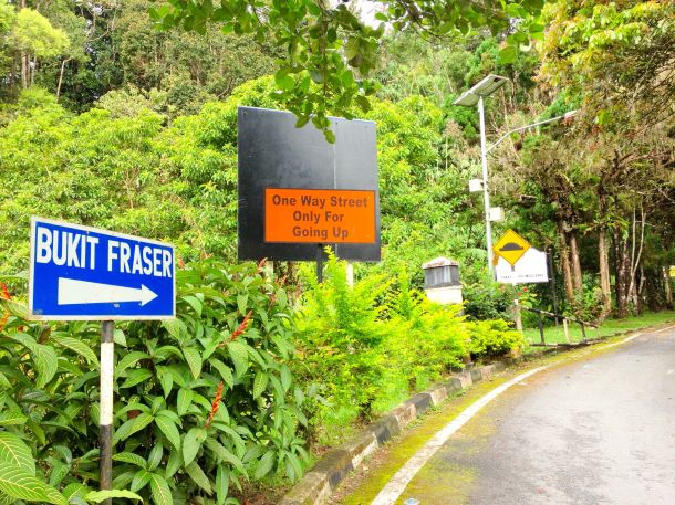 Fraser's Hill - 8km to go