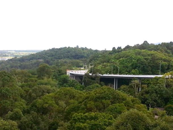 Photo courtesy of Mark Lim