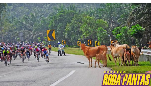 Photo courtesy of Roda Pantas magazine