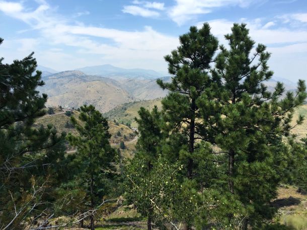 Cognoscenti Day 3 Lookout Mountain Road