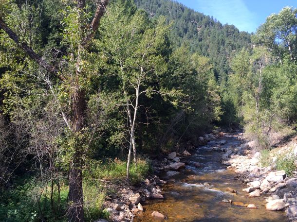 Cognoscenti Day 5 Creek