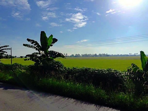 Photograph courtesy of Eric Chen