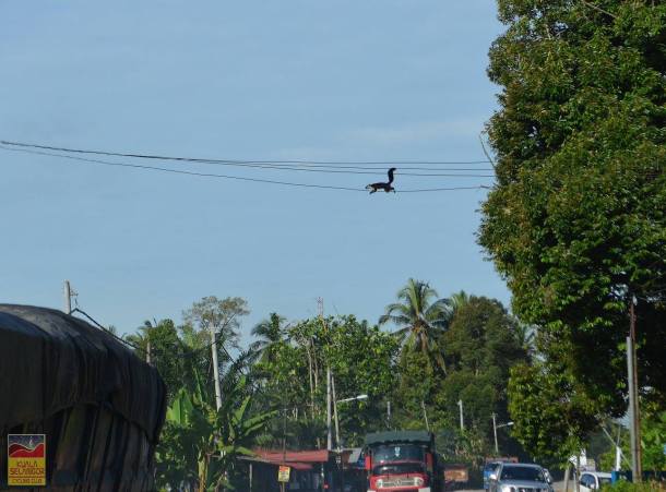 Photograph courtesy of Ahmad Nasir