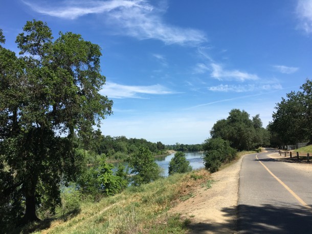 American River Bike Trail 1