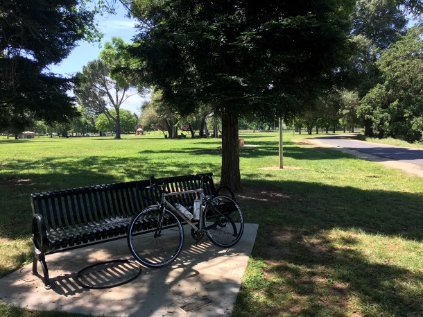 American River Bike Trail Park Bench