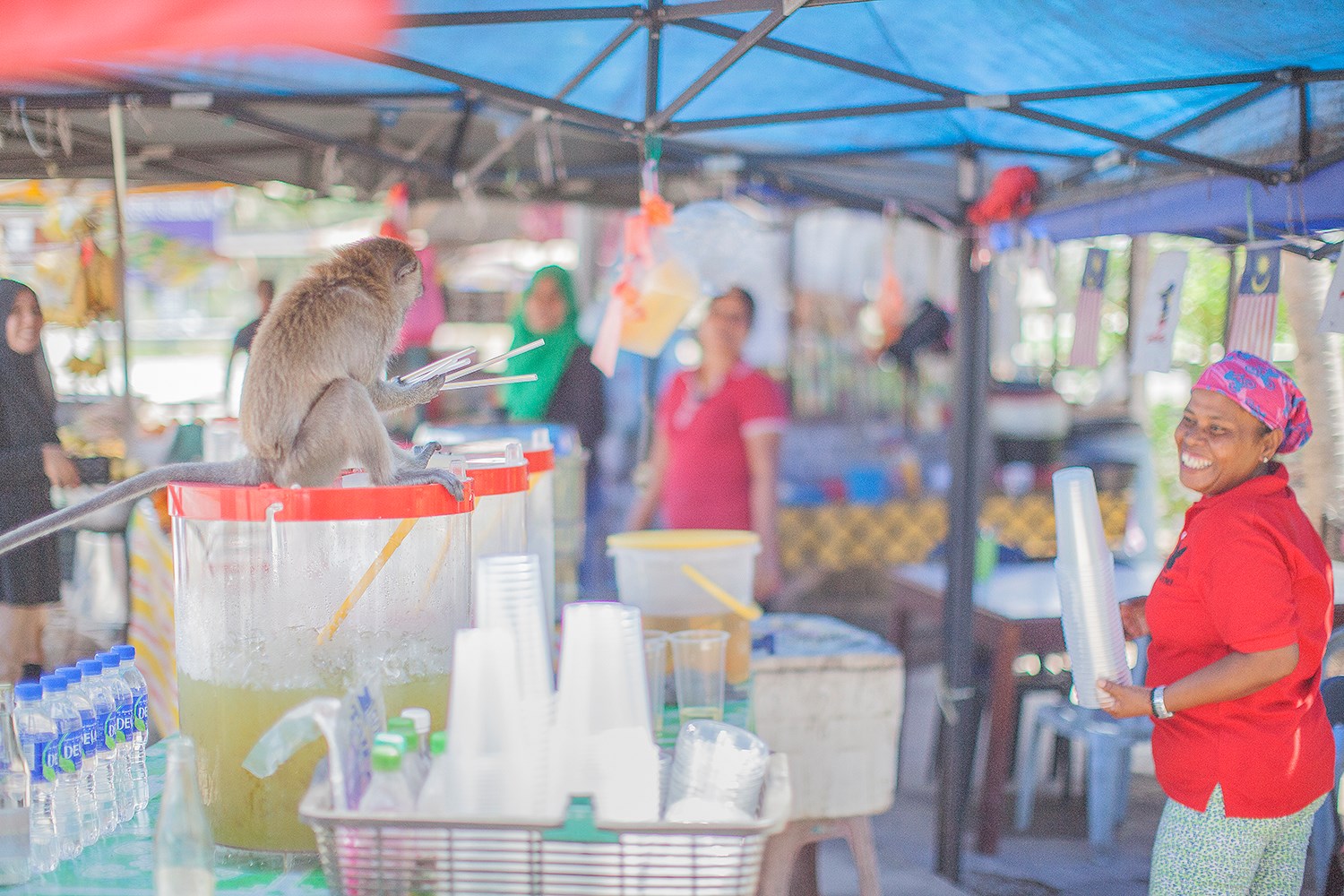 BCG Tour Kajang - Melaka - Kajang Day 1 Coconut 2