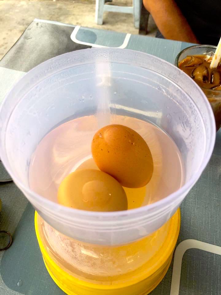 Dragonback Eggs Marco