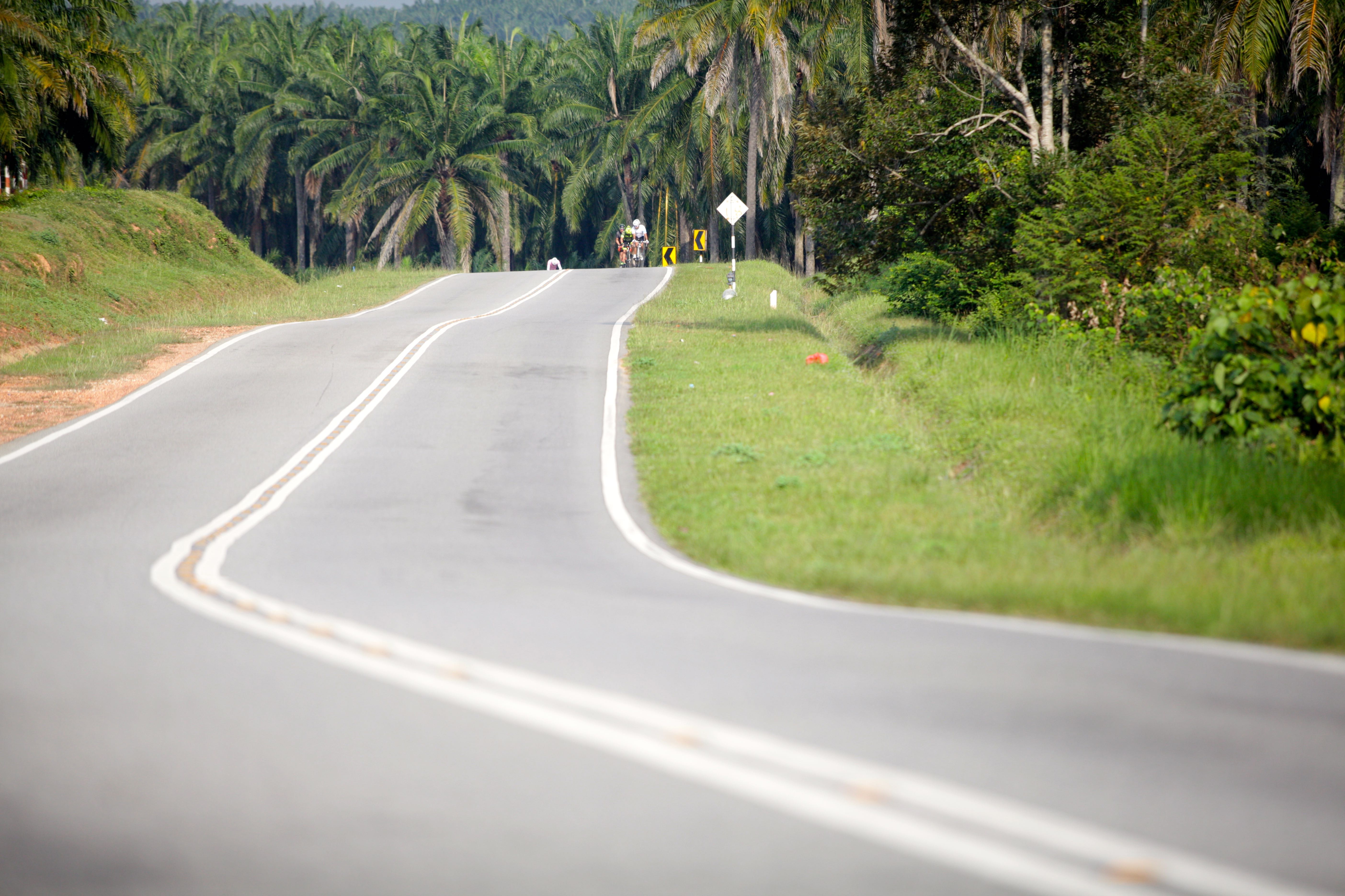 BCG Klang - PD - Day 2 Kampung Chuah Oil Palm