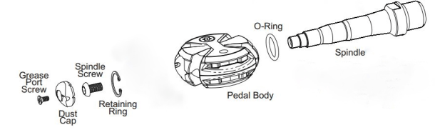 Bearings Pedal Disassembly