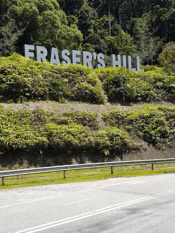 Fraser's Sign Kelin Chan