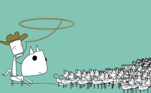 Morib Banner jkstakent com