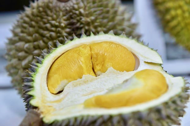 Day 1 Durian