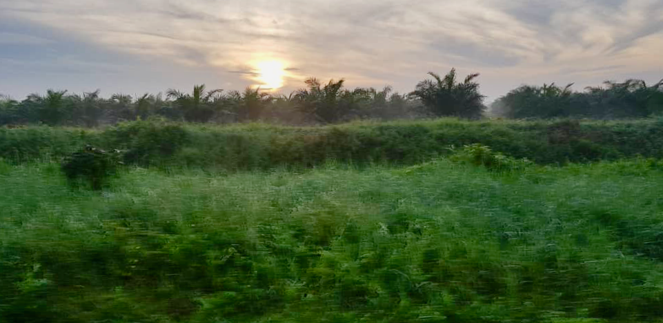Teluk Intan Day 1 Sunrise Marvin
