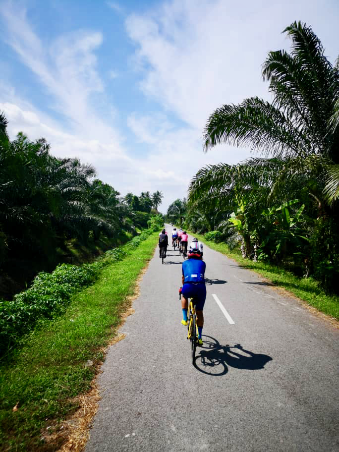 Teluk Intan Day 2 Back Roads Pai
