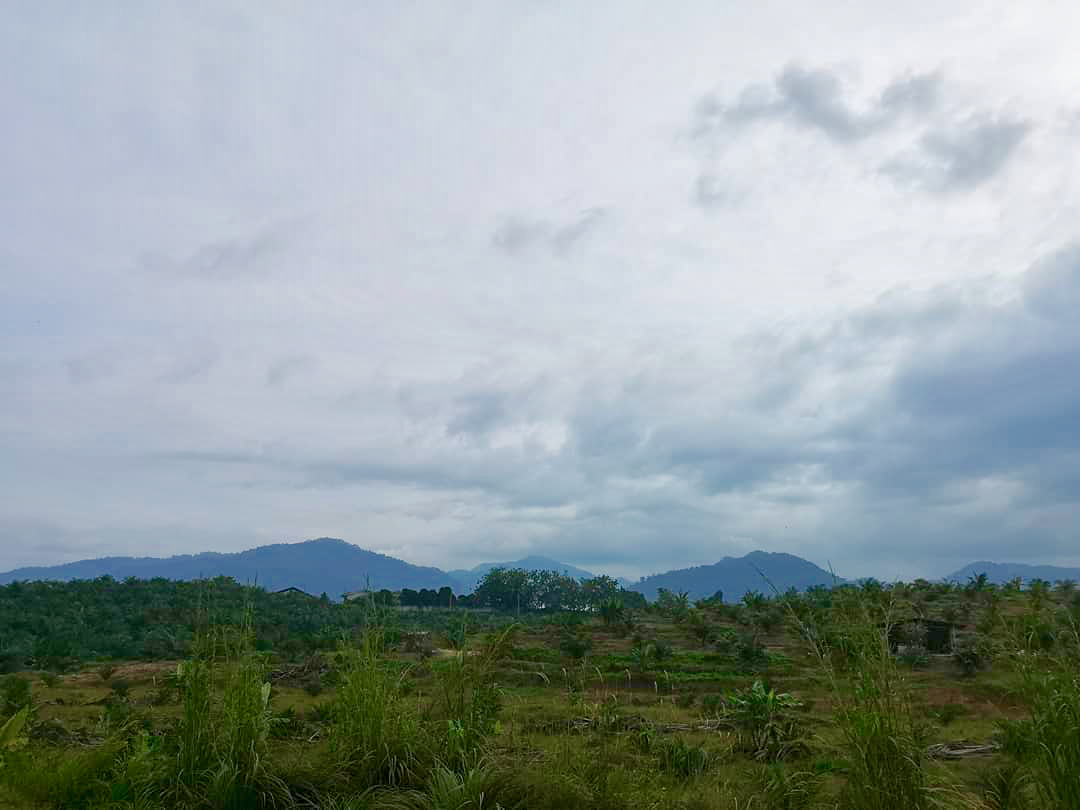 7A9A3F30-2103-4B8D-8C32-9A384896983C