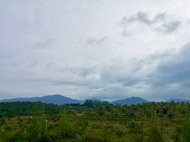 7A9A3F30-2103-4B8D-8C32-9A384896983C