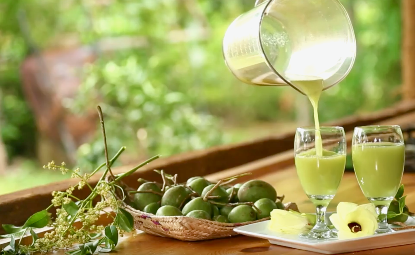 CFAL 2018 Day 1 Ambarella Juice Dilmah Conservation