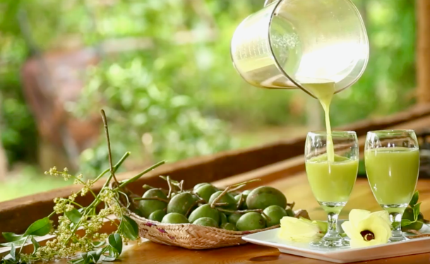 CFAL 2018 Day 1 Ambarella Juice Dilmah Conservation