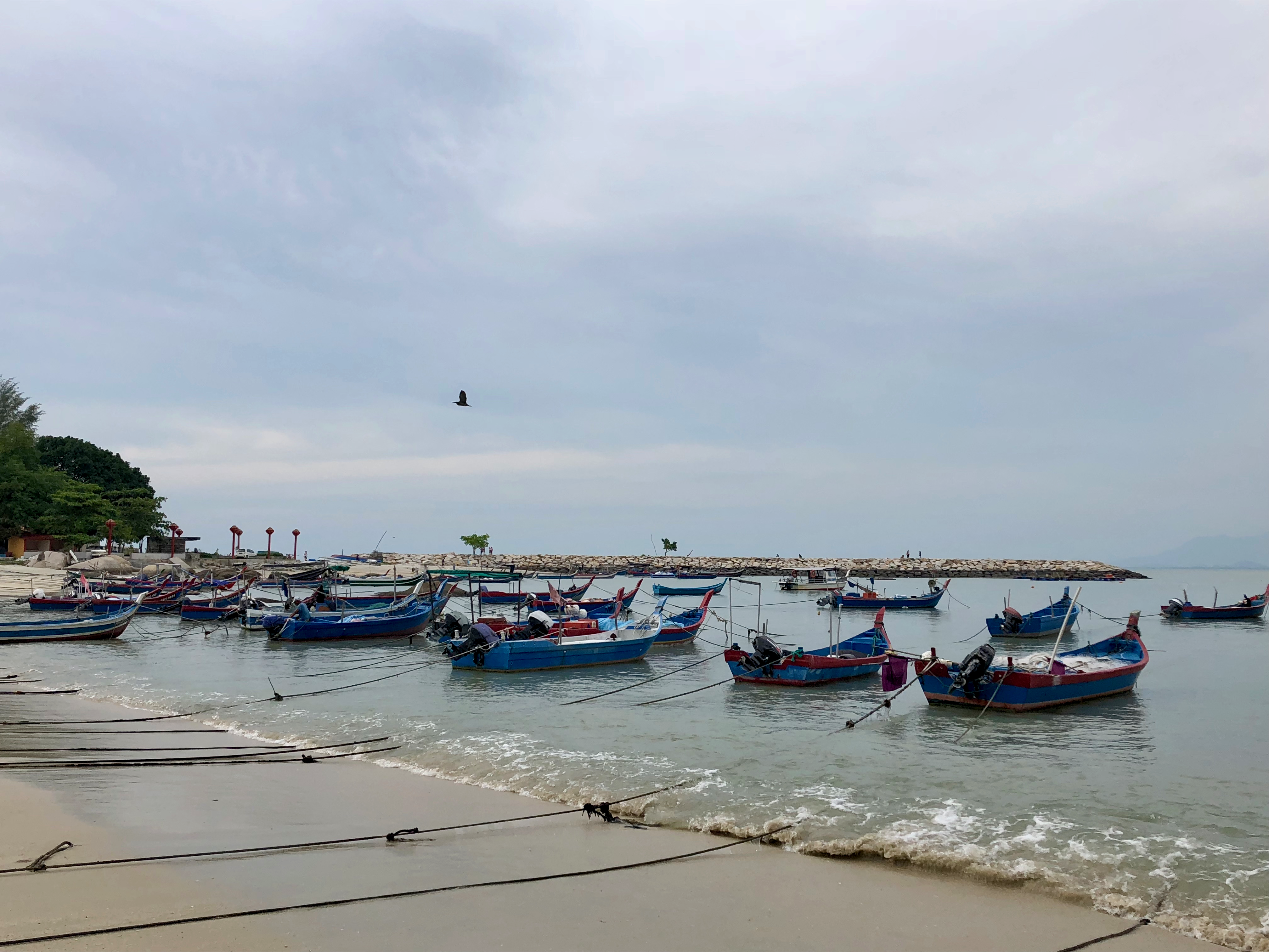 CFAL 2018 Day 1 Beach